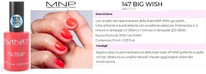 147 BIG WISH